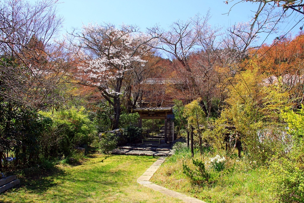 Woodland path · Apex